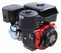 silnik_weima-w300f 2.jpg