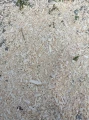 image000000002.jpg
